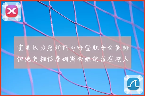 霍里认为詹姆斯与哈登联手会很酷但他更相信詹姆斯会继续留在湖人