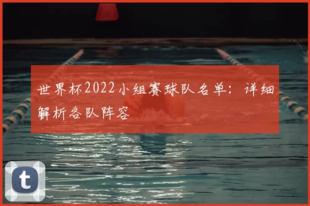 世界杯2022小组赛球队名单：详细解析各队阵容