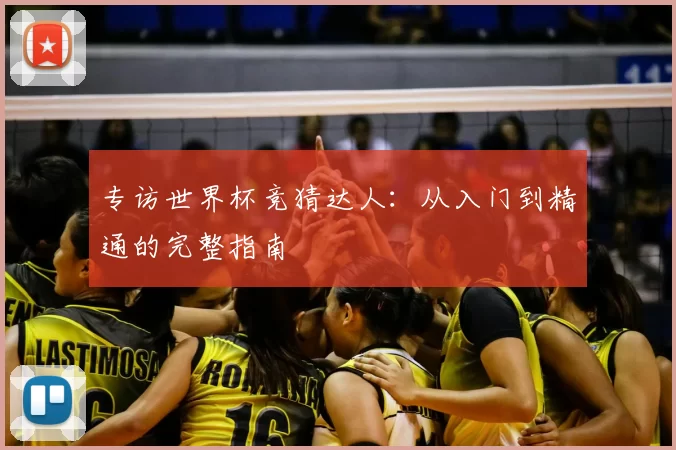 专访世界杯竞猜达人:从入门到精通的完整指南
