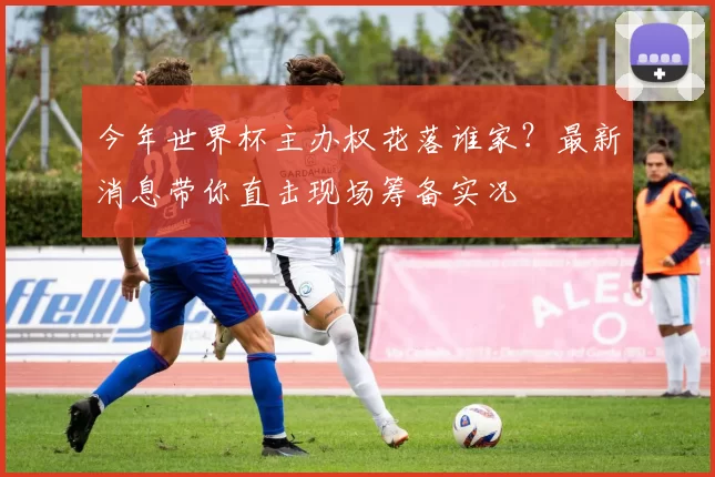 今年世界杯主办权花落谁家？最新消息带你直击现场筹备实况