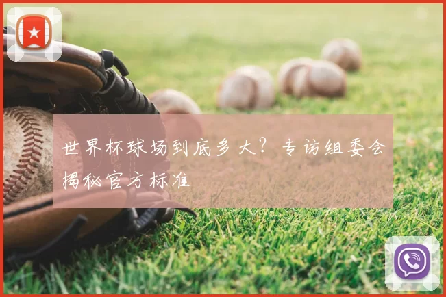 世界杯球场到底多大？专访组委会揭秘官方标准