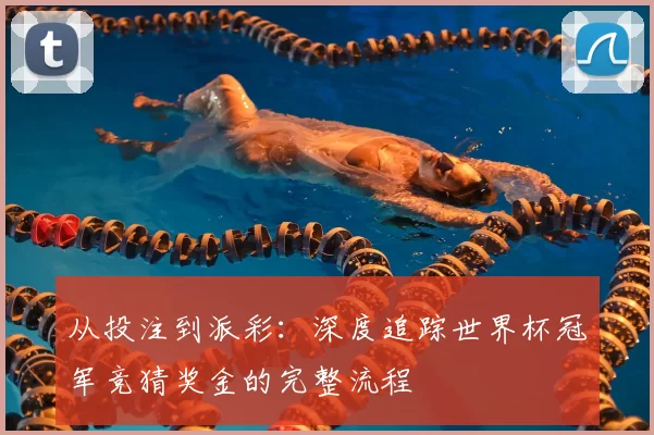从投注到派彩：深度追踪世界杯冠军竞猜奖金的完整流程