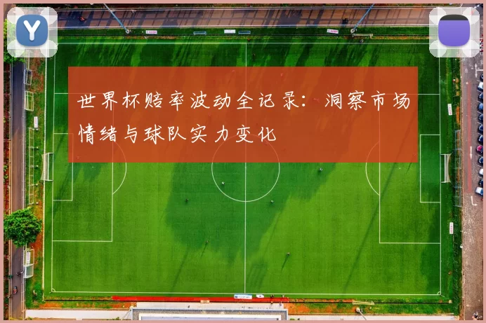 世界杯赔率波动全记录：洞察市场情绪与球队实力变化