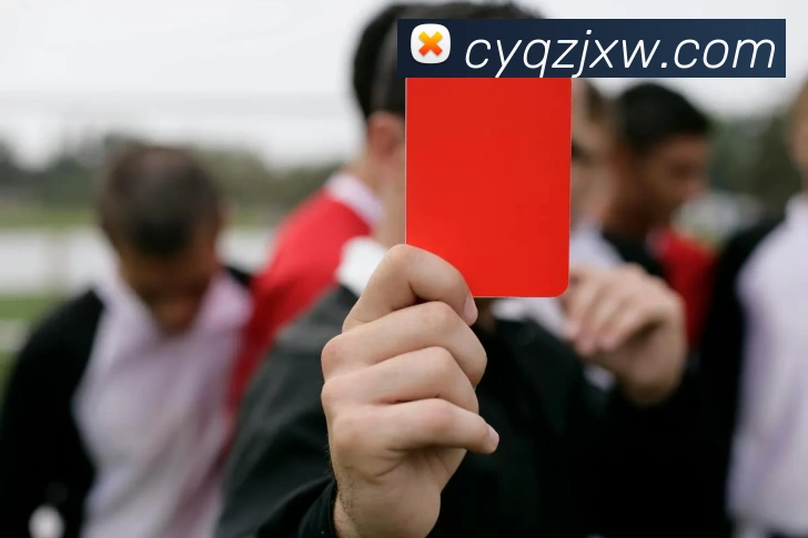华体会APP 体育赛事宣传图